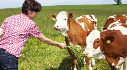 A tejválság is bebizonyította: sikeresebb Közös Agrárpolitikára van szükség