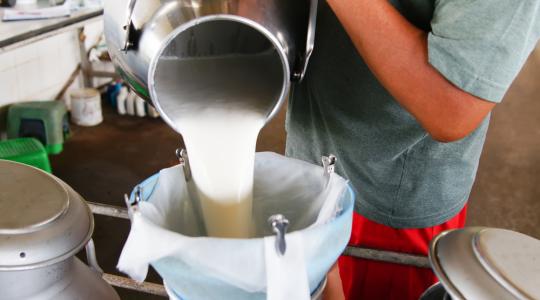 A tejválság leküzdésében nagy szerepe lehet a Kínába irányuló exportnak