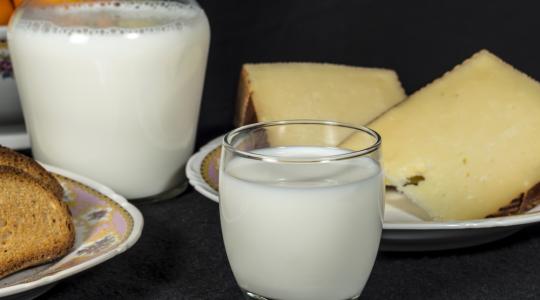 Az EU tejpiaca egy éven belül visszanyerheti egyensúlyát: lassú áremelkedés várható