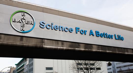 A Bayer nem adja fel – többet is fizetne a Monsantóért