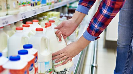 Az EU tejtermelői újabb támogatást kapnak, de vajon visszafogják termelésüket?