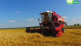 Fehérorosz büszkeség: Gomselmash Palesse GS812 kombájn