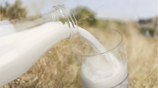 Ez a 20 óriásvállalat uralja a világ tejpiacát!