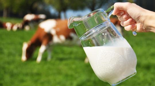Oda kell figyelnünk, hogy ukrán tejtermékek ne juthassanak át a határon