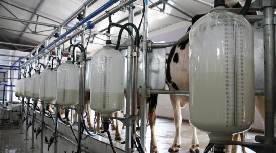 Újabb uniós segélycsomag tűnt fel a tejhorizonton