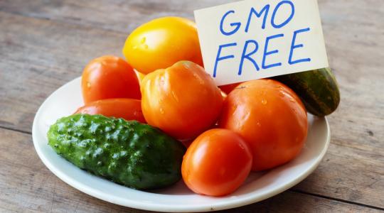 Hiába tiltja Magyarország, így is GMO-termékeket eszünk?