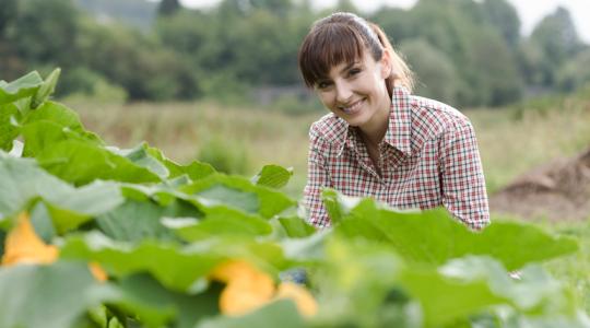 Fiatal gazdák együttműködési hajlandósága a kertészeti ágazatban