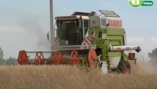 Claas Commandor kombájncsalád