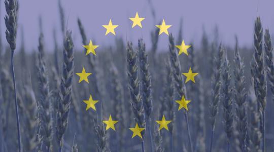 Szüksége van az EU agrárgazdaságának a szabadkereskedelmi egyezményekre?