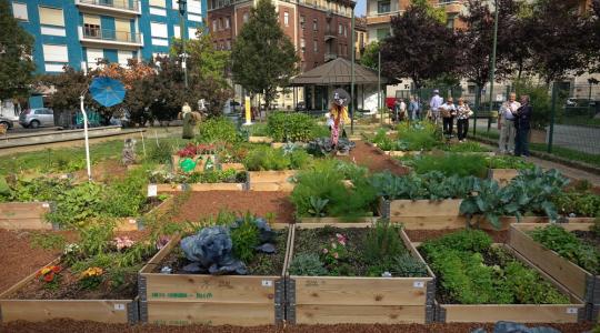 A városi kertészkedést visszavetheti a nehézfémszennyezés