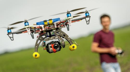 Drónokat vetnek be a pettyesszárnyú muslica ellen