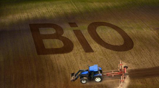 Felfutóban az orosz biotermelés