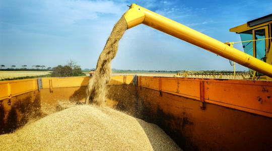 Minden eddiginél nagyobb gabonatermést vár Oroszország