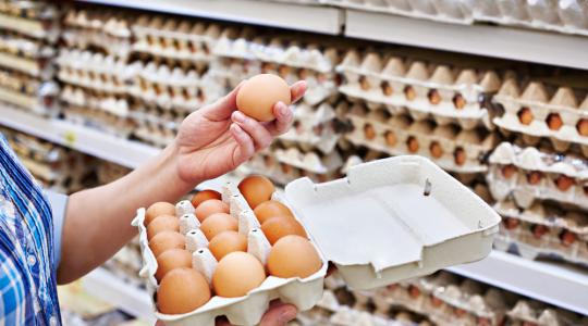 A tojásbotrány rávilágított az EU-s riasztási rendszer hiányosságaira