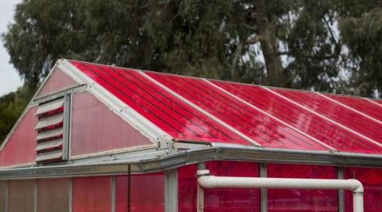 A hajtatóházakra épített napelemek a terméseredményt is növelik
