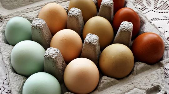 Keltetés, tojásfestés, hagyományőrzés – érdekes cikkek húsvétra!