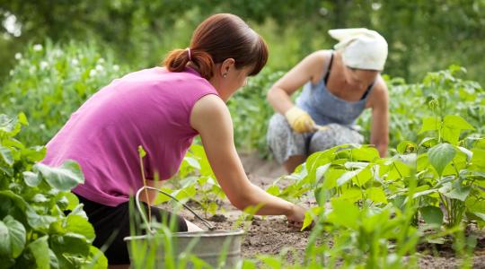 Ismerje meg a 2016-os agrár-munkaerőpiaci felmérés eredményeit!