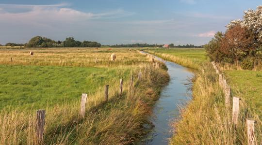 Módosult a vizes élőhely létrehozását célzó pályázat