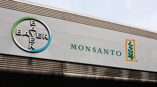 A Bayer a felvásárlás után megszünteti a Monsanto nevet