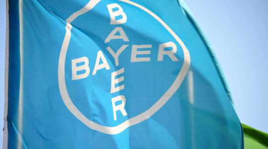 Ma zárulhat le a Bayer és a Monsanto egyesülése