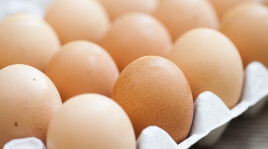 Most éppen a lengyel tojásokkal van baj
