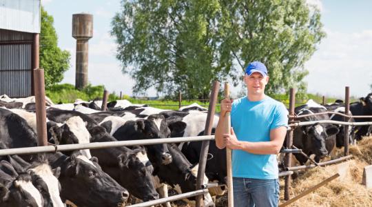 Az EU 2020 után sem engedheti el a tejtermelők kezét
