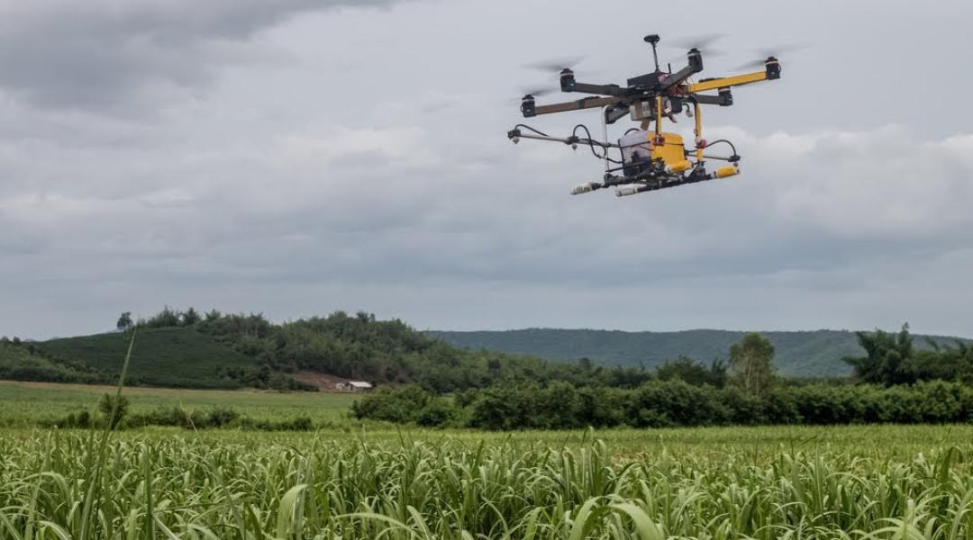 A drónok javítják a növényvédő szerek alkalmazásának hatékonyságát