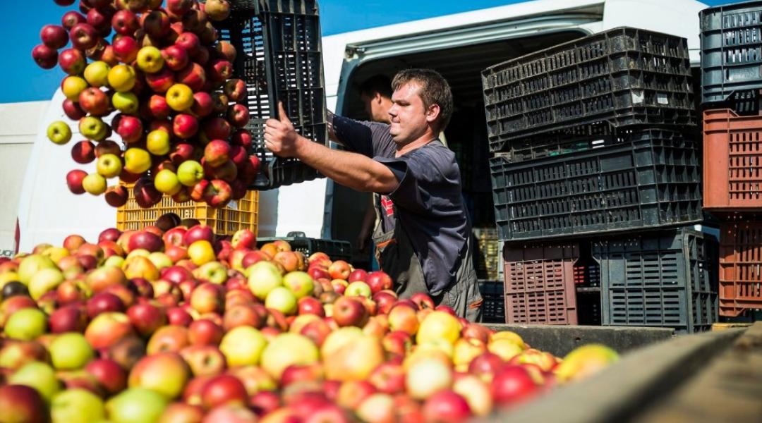 Traktorokkal és félpályás útlezárással folytatják a demonstrációt az almatermelők