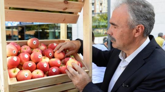 Nagy István: átlagon felüli lehet az idei almatermés
