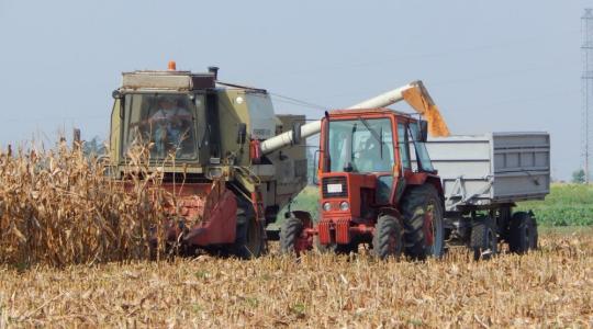 Rekordszintre emelkedhet a kukoricaimport az EU-ban