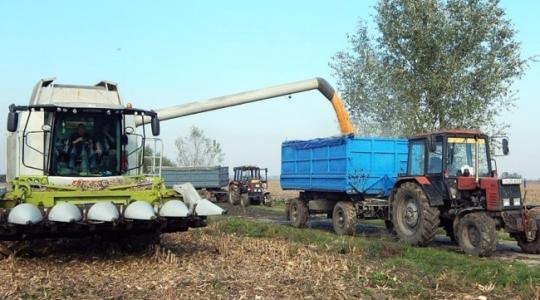 Hatalmas az idei román gabona- és kukoricahozam