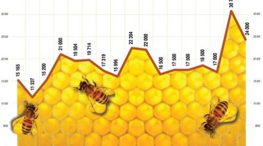 A méz felvásárlói- és fogyasztói ára