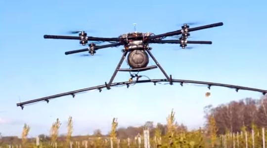 Egy lett startup speciális drónt fejlesztett ki szőlőültetvényekre