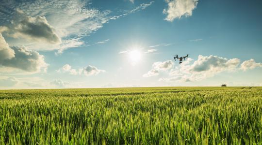 Drónokkal kalkulálható a várható termésmennyiség