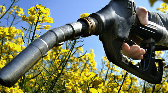 A bioüzemanyagok bekeverési arányának növelését szorgalmazták a V4-ek agrárkamarái