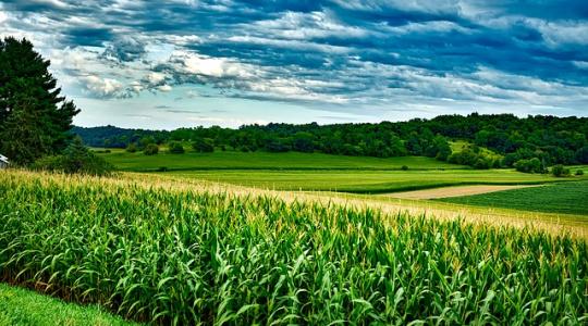 A romániai mezőgazdaság rekordévet zárt