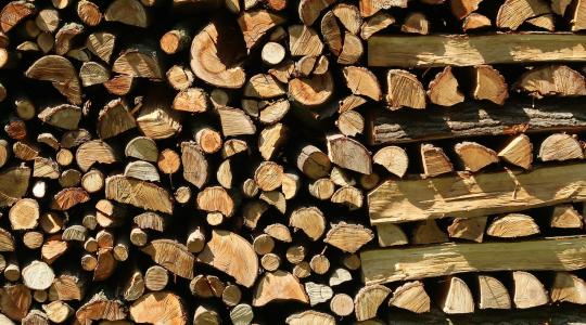Tűzifa feketeértékesítése miatt bírságolt a Nébih