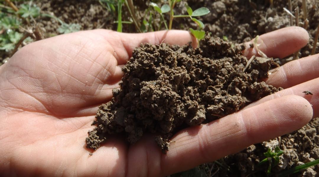 Ideje a tavaszi talajelemzésnek, talajvizsgálatnak, hogy megelőzzük a hozamkiesést!