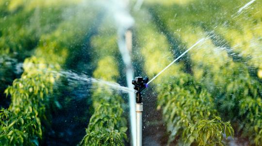 Ezek a mezőgazdasági célú vízhasználattal kapcsolatos ellenőrzések során feltárt legjellemzőbb hibák