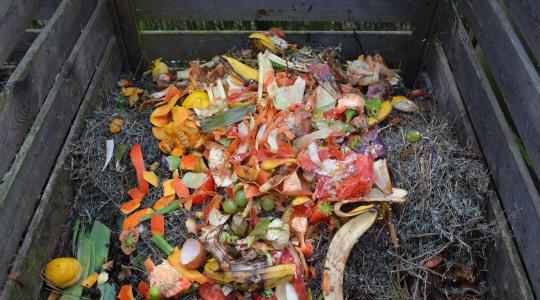 Biogáz konyhai és kerti hulladékokból 