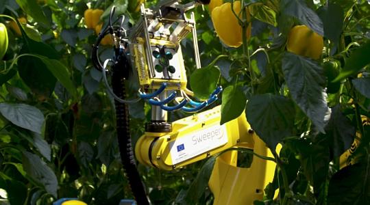 Egyre több robot dolgozik a mezőgazdaságban 