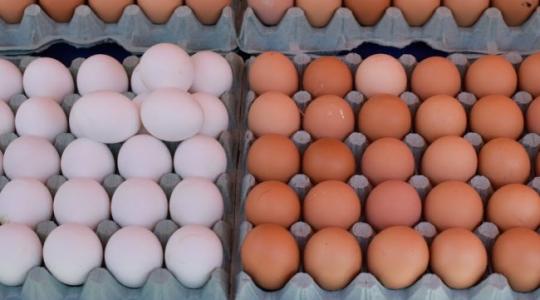 Felháborodtak a tojástermelők az akciós tojásárakon
