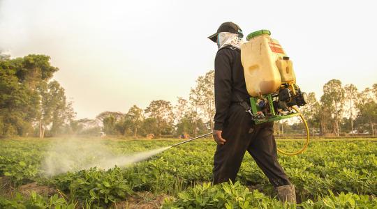 Október 31-ig kell bejelenteni a 2018-as növényvédőszer-forgalmi adatokat