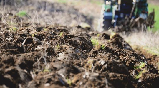 Csehország fellép a monokultúrás termesztés ellen – korlátoznák az egy tagban művelhető területet