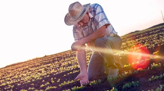 KAP 2020 után: Az agrárvállalkozások megerősítése a legfontosabb cél