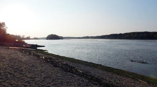 A Duna antibiotikumokkal a legszennyezettebb folyó Európában