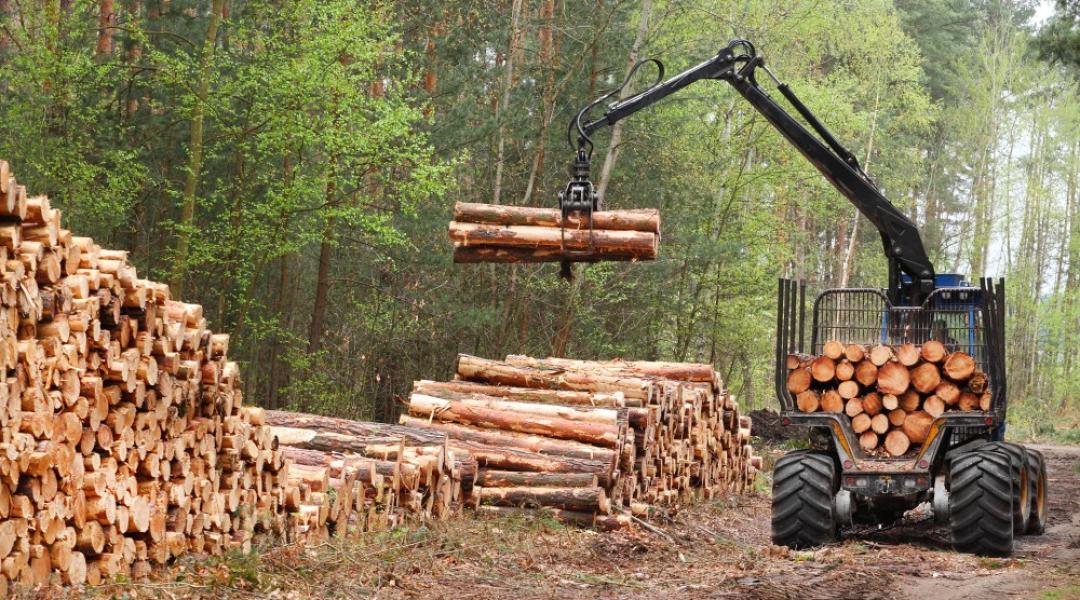 Ismét megnyitották az erdészeti gépberuházások támogatását