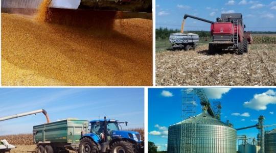 Hiszek a kukoricában! – Árak és termelési kilátások – Interjú Reng Zoltánnal – VIDEÓ!