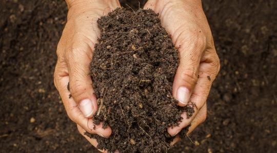 A talaj olyan, mint egy gyerek: etetni, itatni és gondozni kell ahhoz, hogy sikeresen termelhessünk rajta