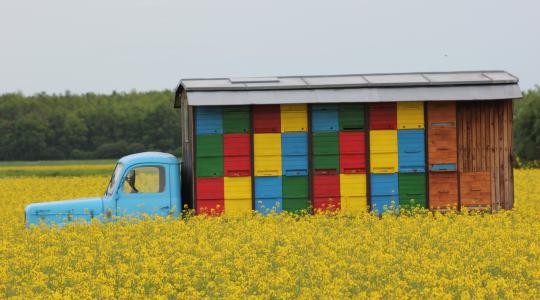 Támogatási igény adható be méhészeti járművekre